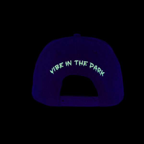 The VIBE In The Dark - Flatbill - Image 6