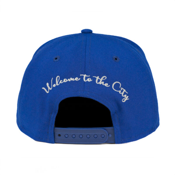 (SOLD OUT) The CITY VIBE - Flatbill - Image 5